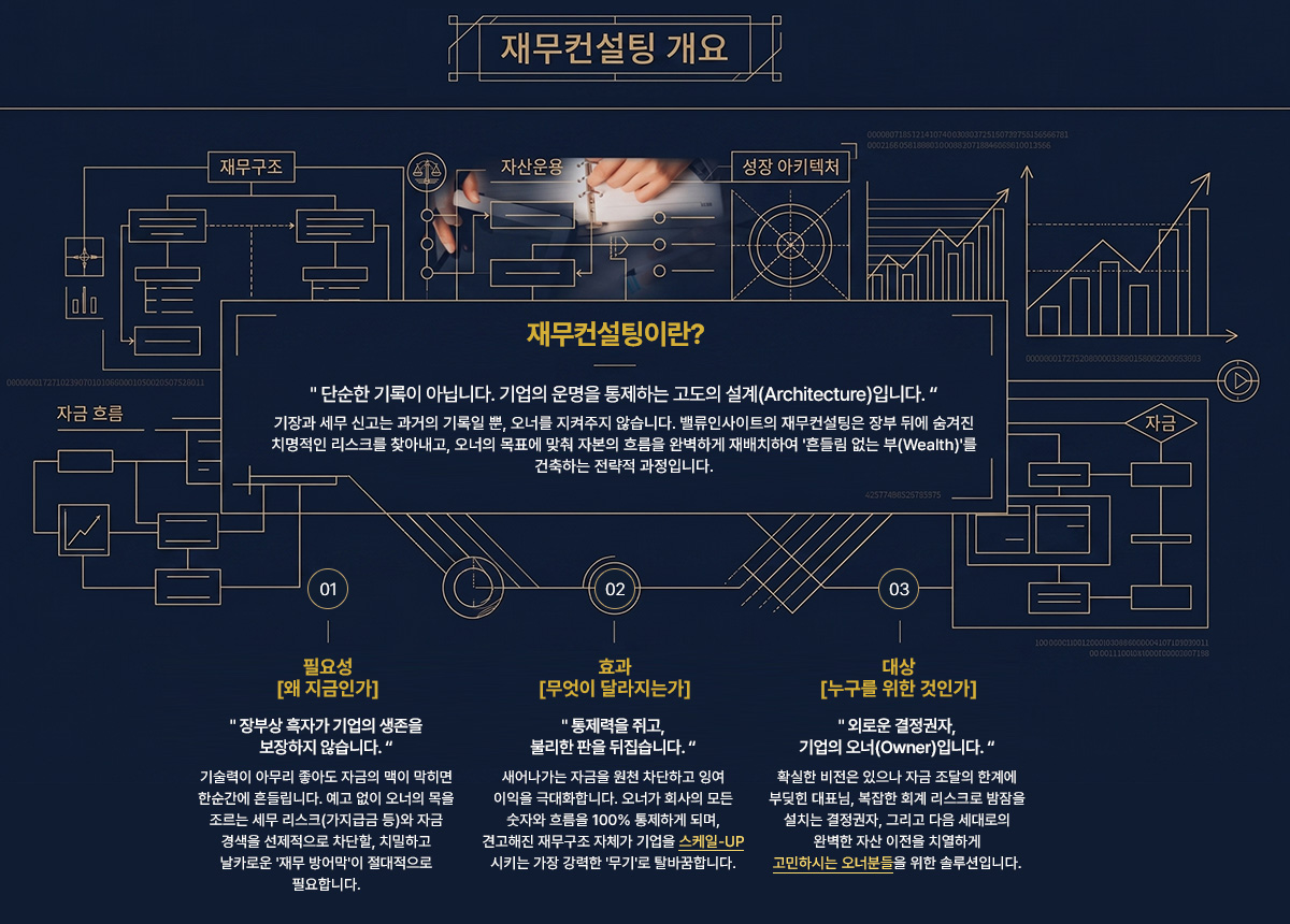 재무컨설팅 개요